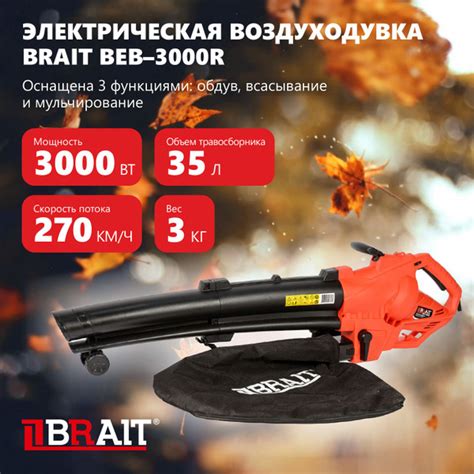 Воздуходувка электрическая BRAIT BEB-3000R купить на OZON по низкой ...