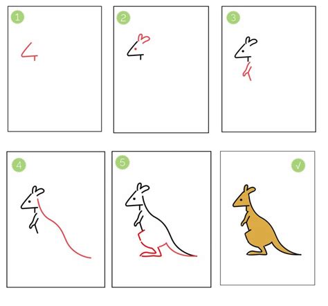 cute kangaroo drawing || (5 easy ) steps draw