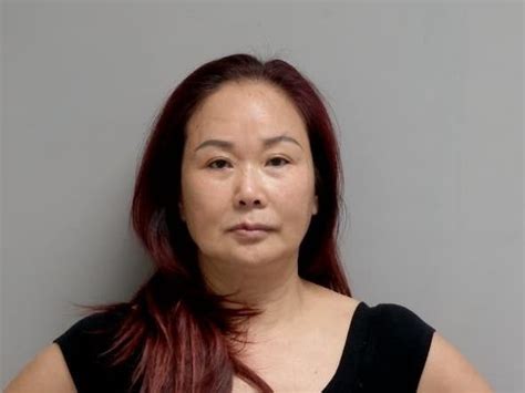 New Lenox Spa Owner Arrested In Prostitution Sting Nlpd New Lenox