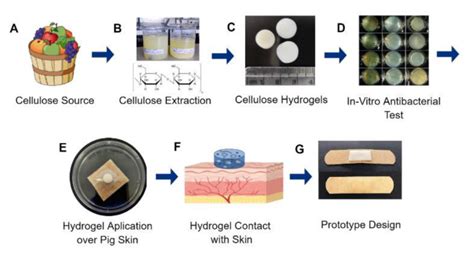 Cellulose Based Hydrogels Wound Dressing Download Scientific Diagram