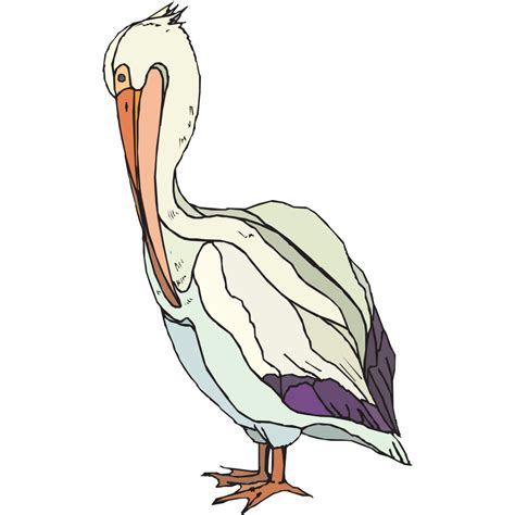 Pelican With Colorful Feathers PNG, SVG Clip art for Web - Download ...