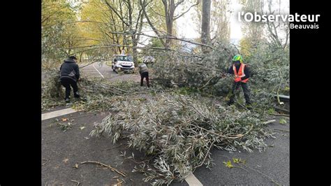 Vidéo Tempête Ciaran plusieurs arbres sont tombés dans le Beauvaisis