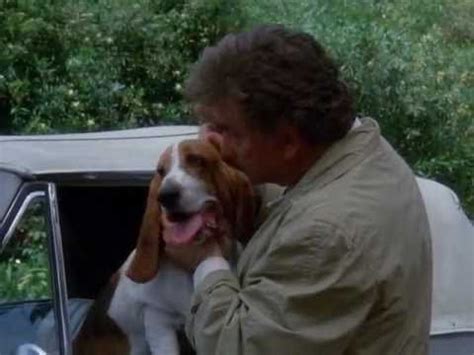 Columbo and his dog | Columbo, Basset hound dog, Columbo tv series