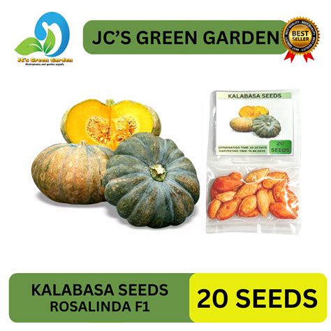 Shop Hybrid Kalabasa Seeds Online Ph
