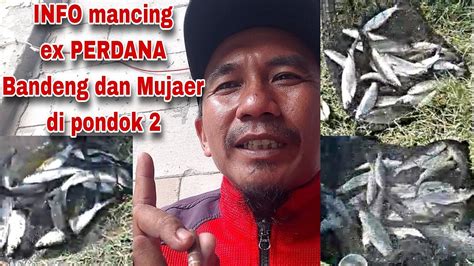 Info Mancing Bandeng Ex Perdana Kotrekan Di Pondok Empang Bang Madi