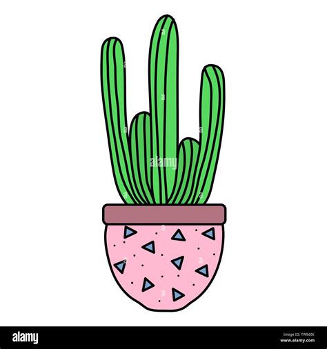 Exotic Cactus Plant In Ceramic Pot Vector Illustration Design Stock