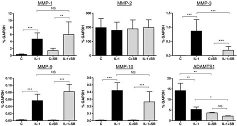 Effect of p38-α/β MAPK inhibitor SB203580 on metalloproteinase mRNA ... 