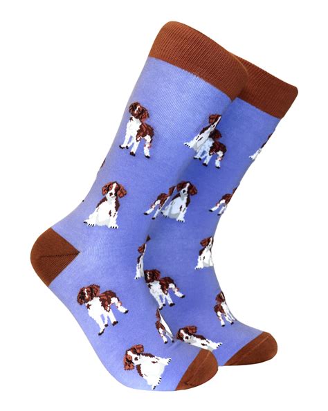 Springer Spaniel Ts — Two Woofs