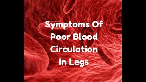 Symptoms Of Poor Blood Circulation In Legs Youtube