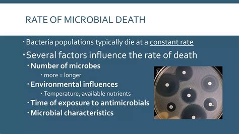 Control Of Microbial Growth Ppt