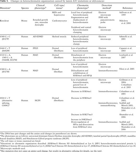 Nuclear Lamins Major Factors In The Structural Organization And