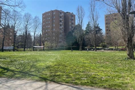 Effetto Besta Contro Il Taglio Di Alberi Monta La Protesta Anche Al