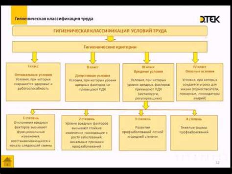 Гигиена и санитария - YouTube
