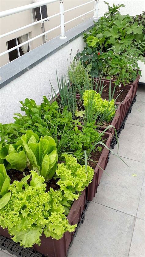 Apartment Patio Vegetable Garden Ideas To Try This Year Sharonsable