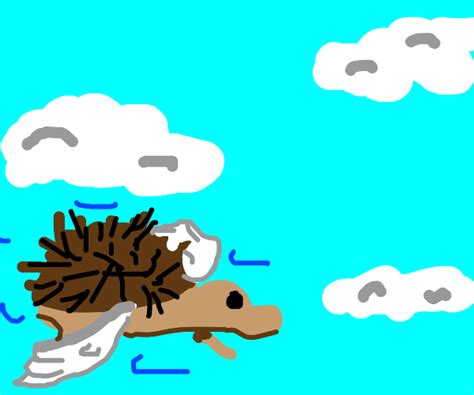 Hedgehog Flying - Drawception