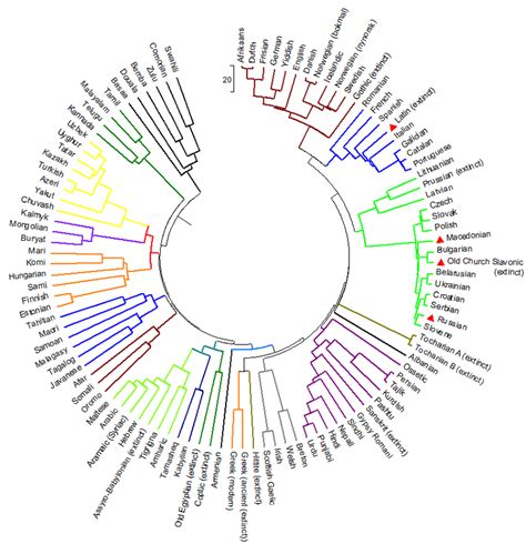 The History Of Language Morgans Language Research Project