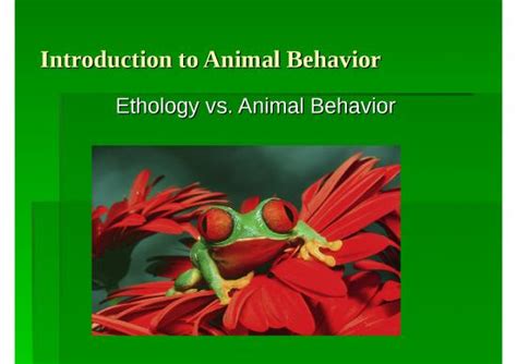 behavior   introduction  animal behavior