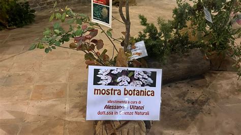 Matelica Grande Successo Per La 21esima Mostra Micologica Picchio