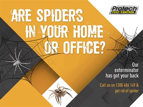 Pest Control Spiders Melbourne Pest Control