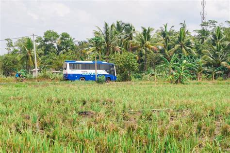 Mobil Sehat PT Timah Tbk Layani Warga Di Tiga Pulau Berikan Pelayanan