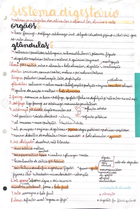 Resumo Sistema Digestório Biologia