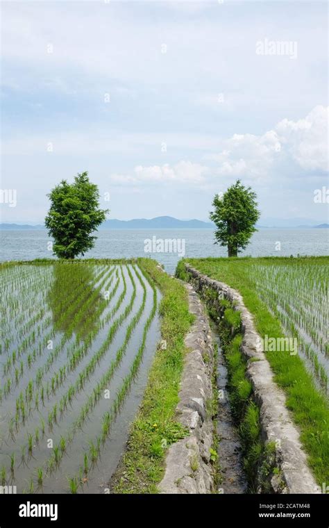 A Scene From Shiga Prefectures Lake Biwa Biwako The Largest Lake In