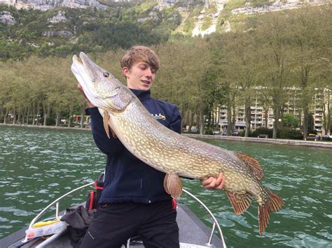 Brochet Record Les 20 Plus Gros Brochets De France