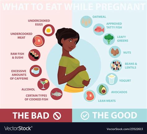 Dark Skinned Pregnant Woman Diet Infographic Vector Image