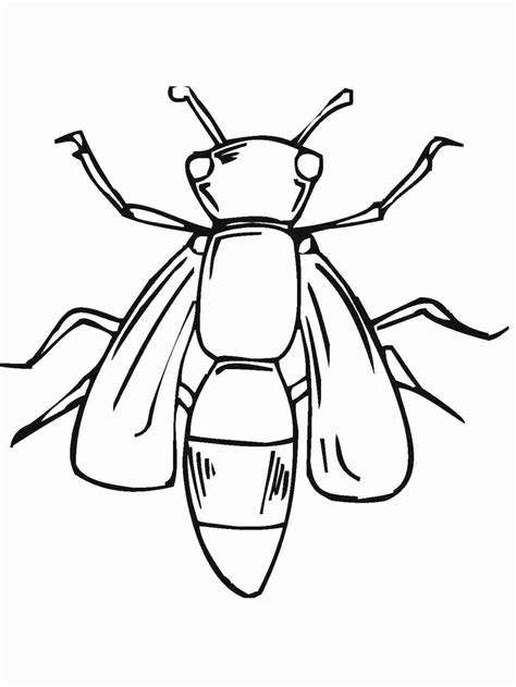 Firefly Coloring Pages At Getkristianblog Blog