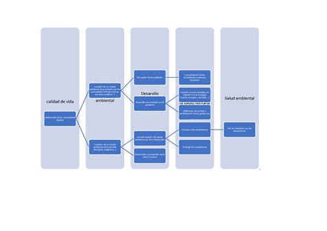 Actividad 01 Cuadro Sinoptico Salud Ambiental Enfoque Ecosistemico De La Salud Humana