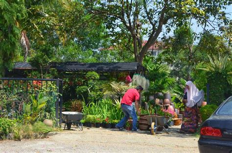 My Little Vegetable Garden Nursery Pasar Borong Selangor Seri Kembangan