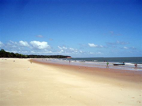 Ilha De Maraj Turismo E Dicas De Viagem