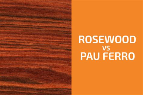 Rosewood Vs Pau Ferro Which One To Use Handyman S World