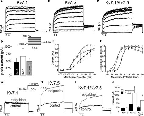 Functional Assembly Of Kv Kv Channels With Emerging Properties On