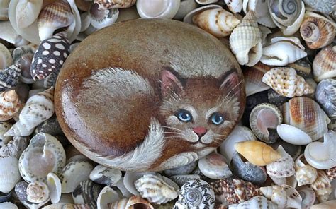 Painted Cat Painting Seashells Pebble Cat Hd Wallpaper Peakpx