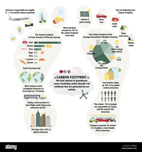 Infographie sur l empreinte carbone des ménages Contribution des