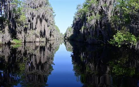 Video Discover Okefenokee National Wildlife Refuge Ace