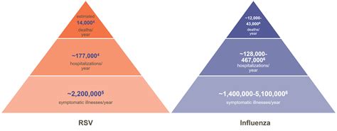 Clinical Burden of RSV in Older Adults | GSK US Medical Affairs