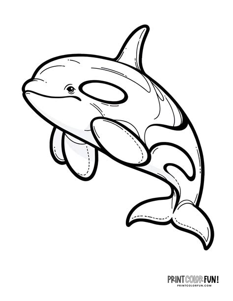 orca printable 6