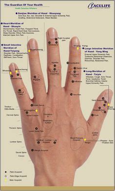 14 idées de Points d acupuncture acupression acuponcture reflexologie