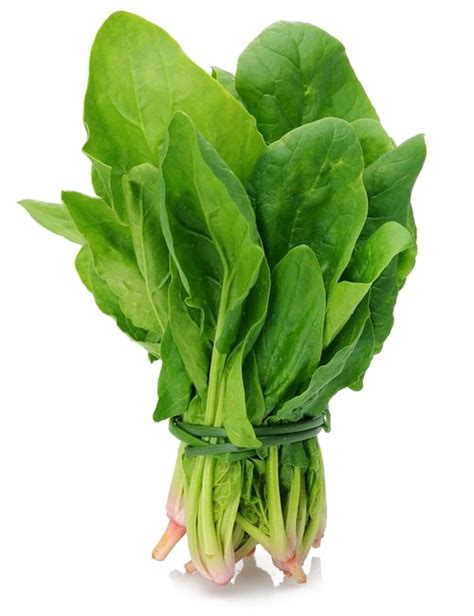 Green Spinach Download Transparent Png Image Png Arts