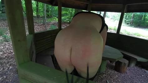 Slapping Tits And Ass In Picnic Hut 24 Pics XHamster
