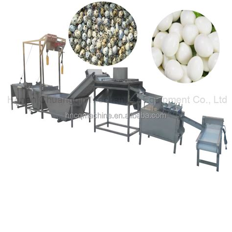 Quail Eggs Peeling Processing Line Boiled Egg Peeling Machine Quail Egg