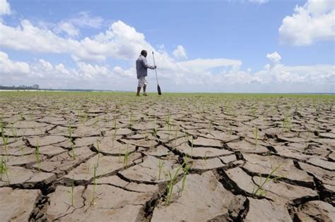 Paraliza Sequía La Actividad Agrícola • Panorama Agrario