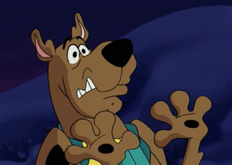 Have you had a favorite Scooby-Doo guest star? Who was it? Poll Results ...