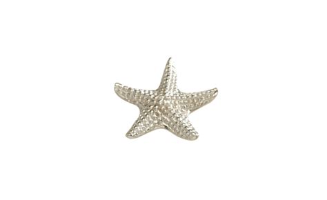 Dekoracija Morska zvezda D10cm | Emmezeta webshop