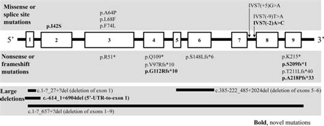 Mutation Spectrum Of The Hprt Gene In Unrelated Korean Families