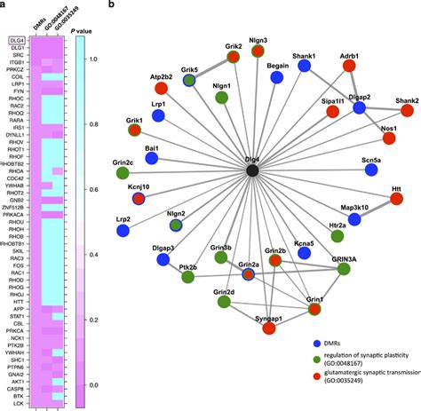 Dmr Associated Genes And Genes Involved In Synaptic Plasticity And