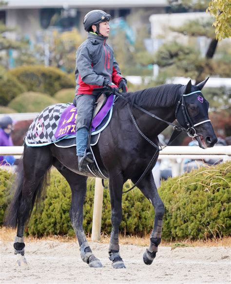 【注目馬動向】ヴェラアズールは宝塚記念が目標 前走はドバイ・ワールドc13着 スポーツ報知