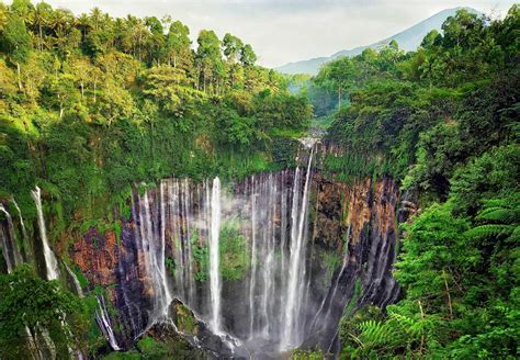 Bromo Ijen Tumpak Sewu Tour From Bali Or Surabaya